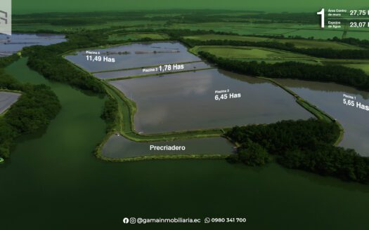 Oportunidad de Inersión: Venta de 2 Camaroneras en plena Producción en Isla