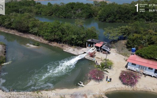Oportunidad de Inersión: Venta de 2 Camaroneras en plena Producción en Isla