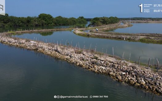 Oportunidad de Inersión: Venta de 2 Camaroneras en plena Producción en Isla