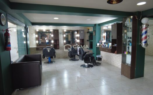 VENTA DE INMUEBLE COMERCIAL Y RESIDENCIAL EN BUENAVISTA Y MANUEL ESTOMBA