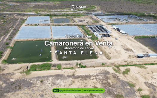Venta de camaronera 20Has y laboratorio de larvas en vía a Chanduy – Santa Elena