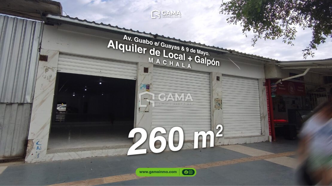 video image