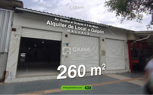 Alquiler de galpones estratégicos en la calle Guabo