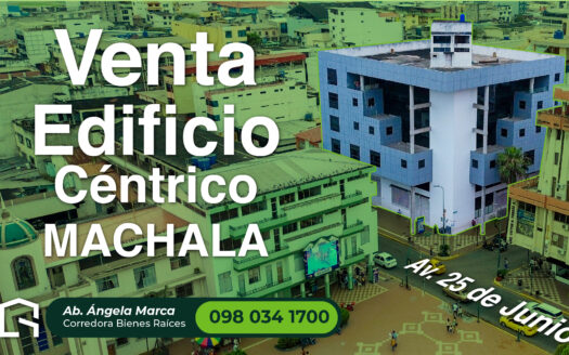 Edificio Céntrico en Venta – Inversión a Gran Escala