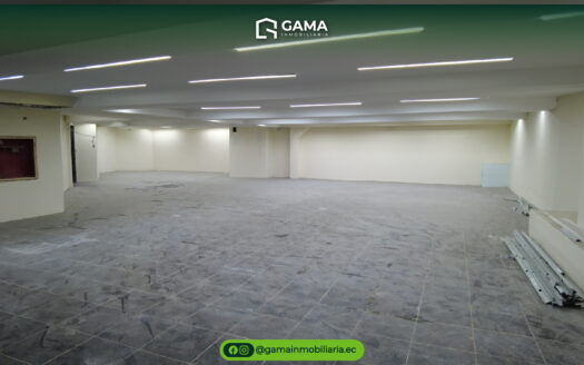 Edificio Céntrico en Venta – Inversión a Gran Escala