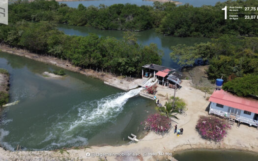 Oportunidad de Inersión: Venta de 2 Camaroneras en plena Producción en Isla