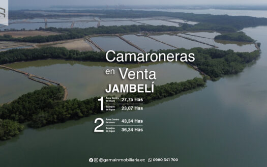 Oportunidad de Inersión: Venta de 2 Camaroneras en plena Producción en Isla